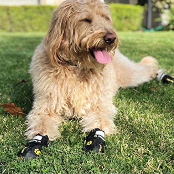 COPY - NWT🍀QUMY Dog Waterproof Shoes withReflective Strips Rugged Anti-Slip Sol… - Picture 12 of 13